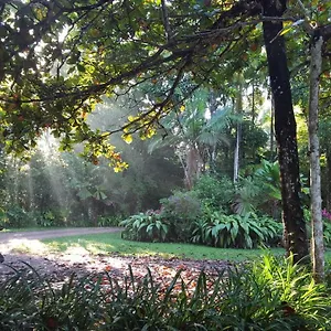 Fanpalm Creek Hideaway Diwan