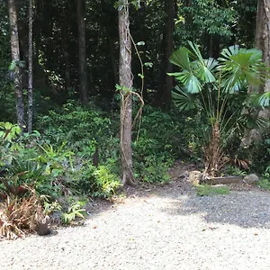 Forest Views Diwan