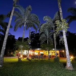 Daintree Siesta Diwan