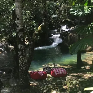 Daintree Secrets Rainforest Sanctuary Diwan